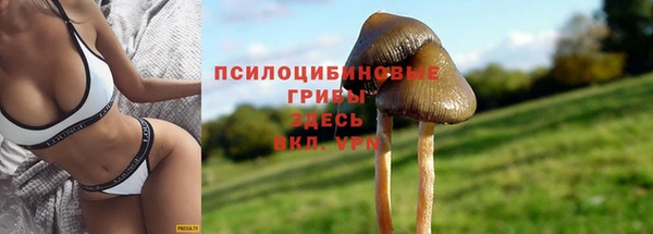 первитин Инсар