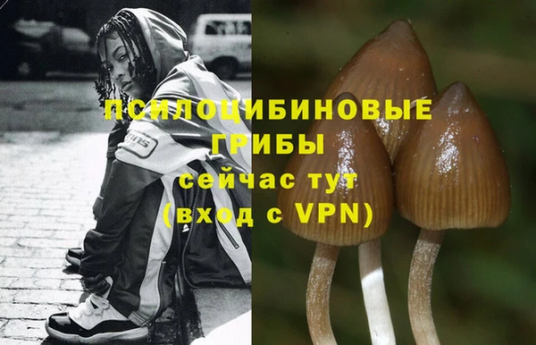 соль курить ск Инта