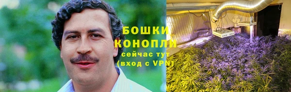 первитин Инсар