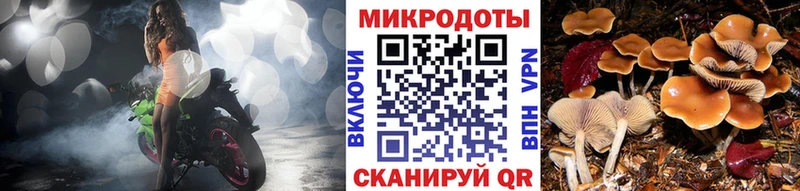 Галлюциногенные грибы Psilocybe  Купить закладки  Чапаевск 